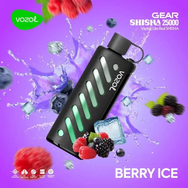 VOZOL GEAR 25000 Berry Ice