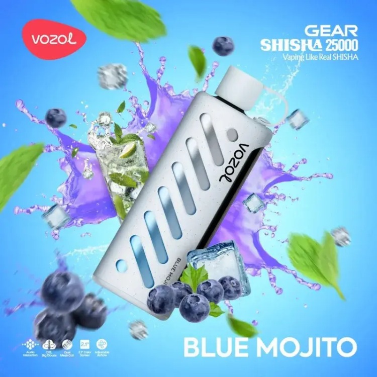 VOZOL GEAR 25000 Blue Mojito