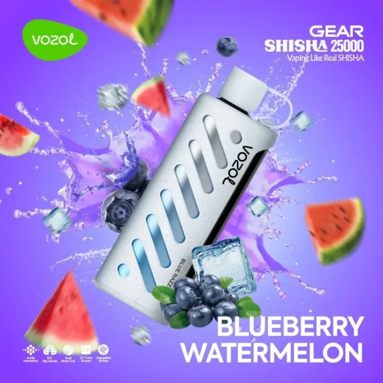 VOZOL GEAR 25000 Blueberry Watermelon