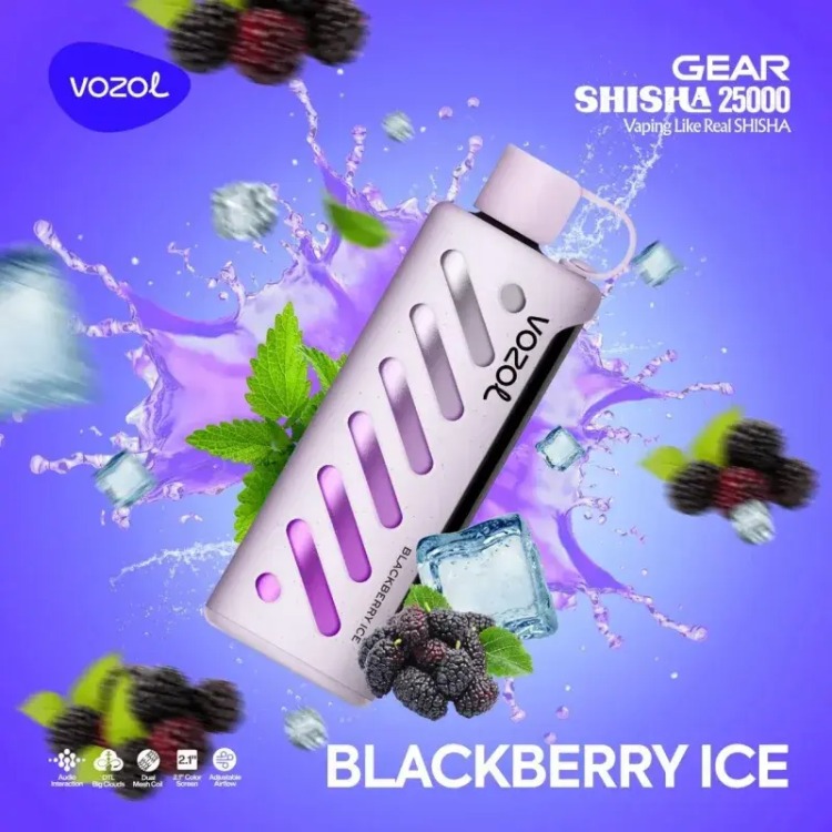 VOZOL GEAR 25000 Blackberry Ice