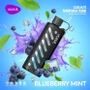 VOZOL GEAR 25000 Blueberry Mint