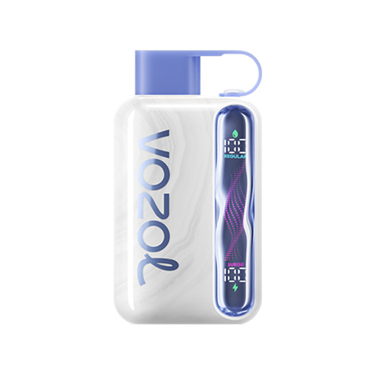 Vozol Star 40000 Blueberry Watermelon