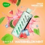 VOZOL GEAR 25000 Watermelon Mint